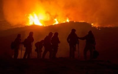 The Climate Hustle