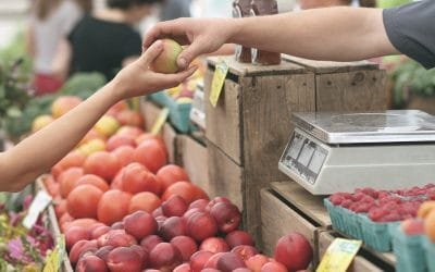 Minimum Wage Hurts Whom It Claims to Help